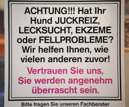 Beratung