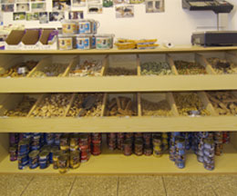 die Snackbar