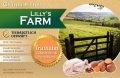 Lilly`s Farm  Truthahn, Süßkartoffel & Preiselbeere 2 Kg 50 % Fleisch Getreidefrei