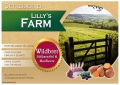 Lilly`s Farm Wildbret-Hirsch Skartoffel & Maulbeere 2 Kg 50 % Fleisch Getreidefrei